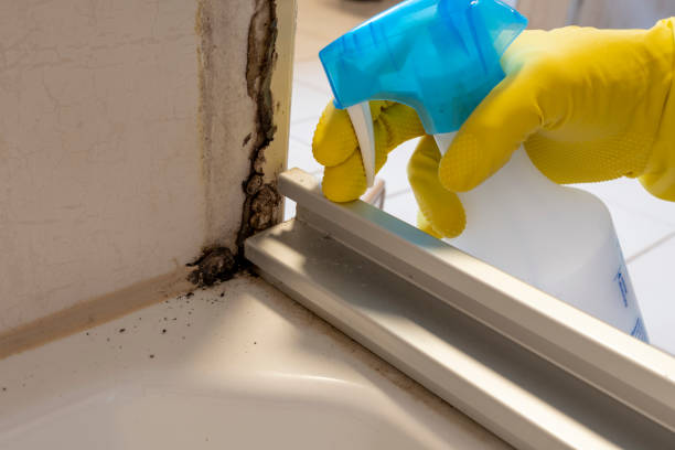 Best Mold Cleaning Services  in Fairmount Heights, MD