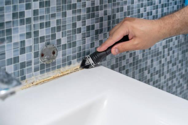 Best Mold Testing  in Fairmount Heights, MD
