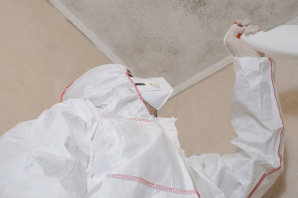Best Mold Remediation  in Fairmount Heights, MD