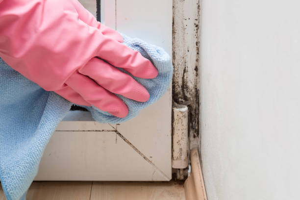 Best Water Damage Restoration  in Fairmount Heights, MD